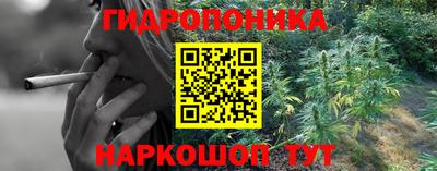 индика Бузулук